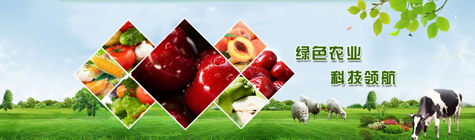 τ(chung)a(chn)I(y)r(nng)I(y)